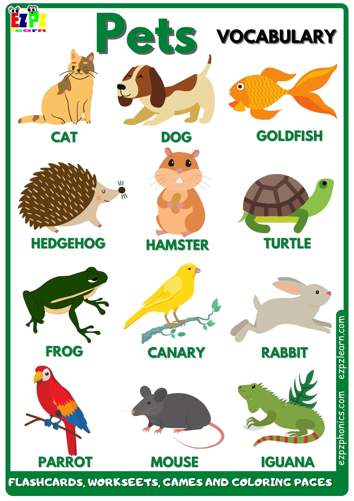 Pets Vocabulary Free English Vocabulary Flashcards, Worksheets, Coloring Pages, Games and More for English Language Learners